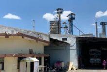 खरीफ 2025-26 में अब तक 67 प्रकरण दर्ज, कुल 3458.56 क्विंटल धान जब्त