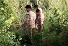 चनाभरी के जंगल में युवक का मिला सिर कटा शव चनाभरी के जंगल में युवक का मिला सिर कटा शव