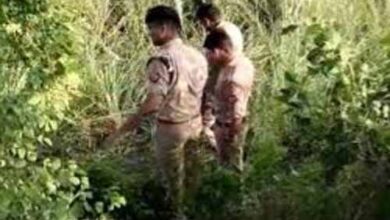 चनाभरी के जंगल में युवक का मिला सिर कटा शव चनाभरी के जंगल में युवक का मिला सिर कटा शव