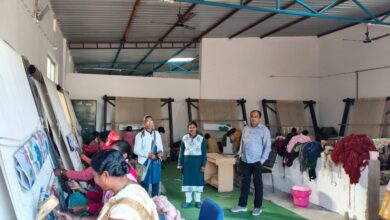 जशक्राफ्ट से संवर रहा छत्तीसगढ़ का कालीन शिल्प, डिजाइनिंग पर विशेष प्रशिक्षण कार्यक्रम