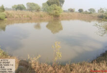 डबरी निर्माण से बढ़ा जल संरक्षण, ग्रामीणों के लिए खुल रहे आय के नए रास्ते