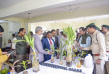 आधुनिक नर्सरी विकास की दिशा में अहम पहल, हाइड्रोपोनिक्स तकनीक पर तीन दिवसीय कार्यशाला