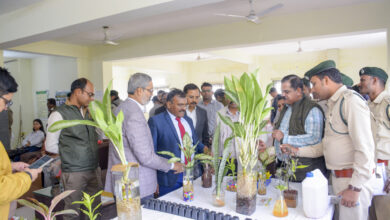 आधुनिक नर्सरी विकास की दिशा में अहम पहल, हाइड्रोपोनिक्स तकनीक पर तीन दिवसीय कार्यशाला