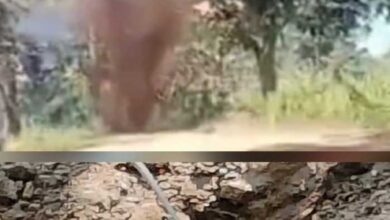 नक्सलियों द्वारा मुनगा-पेद्दाकोरमा में लगाये गये 10 किलो का आईईडी बरामद