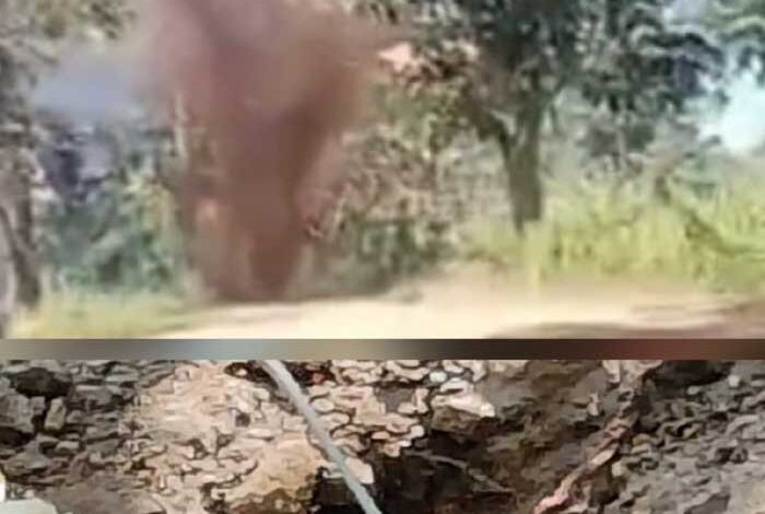 नक्सलियों द्वारा मुनगा-पेद्दाकोरमा में लगाये गये 10 किलो का आईईडी बरामद नक्सलियों द्वारा मुनगा-पेद्दाकोरमा में लगाये गये 10 किलो का आईईडी बरामद