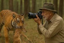 ऑनलाइन फोटोग्राफी प्रतियोगिता शुरु, विजेता प्रतिभागियों को मिलेंगे आकर्षक पुरस्कार