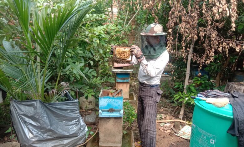 मधुमक्खी पालन बनीं रोज़गार की कुंजी, शहद ने घोले उदय राम के जीवन में मिठास
