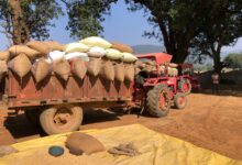 जशपुर जिले में अब तक 3,924 किसानों से 25,384.12 मीट्रिक टन धान की खरीदी