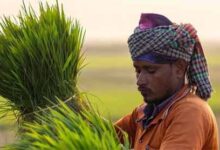 प्रधानमंत्री धन-धान्य कृषि योजना के तहत लगेगा विशेष कृषि शिविर