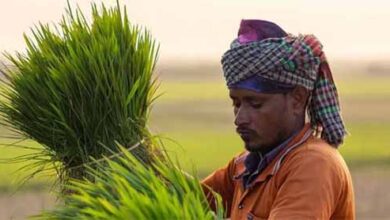 प्रधानमंत्री धन-धान्य कृषि योजना के तहत लगेगा विशेष कृषि शिविर