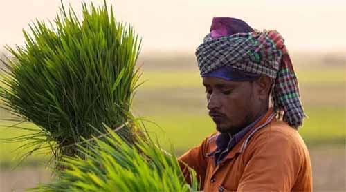 प्रधानमंत्री धन-धान्य कृषि योजना के तहत लगेगा विशेष कृषि शिविर