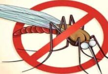 मलेरिया मुक्त छत्तीसगढ़ अभियान का 13वां चरण प्रारंभ होगा 8 दिसंबर से