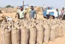 अब तक 17.24 लाख टोकन से 87 लाख टन धान की हो चुकी खरीदी