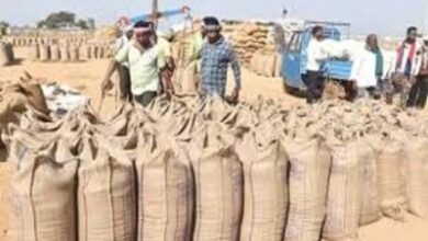 अब तक 17.24 लाख टोकन से 87 लाख टन धान की हो चुकी खरीदी अब तक 17.24 लाख टोकन से 87 लाख टन धान की हो चुकी खरीदी