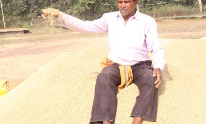 धान बिक्री से मिले पैसों से किसान जगतराम करेंगे बेटे की शादी धान बिक्री से मिले पैसों से किसान जगतराम करेंगे बेटे की शादी