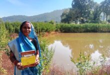 डबरी निर्माण से बदली सूरत कुमारी की किस्मत, खेती और मछलीपालन से बढ़ी आमदनी