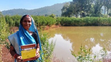 डबरी निर्माण से बदली सूरत कुमारी की किस्मत, खेती और मछलीपालन से बढ़ी आमदनी