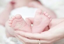 पाथरी के जंगल से बरामद हुआ नवजात, उपचार के लिए मेकॉज भिजवाया