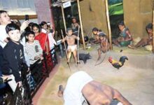 जनजातीय स्वतंत्रता संग्राम सेनानी संग्रहालय, दो महीनों में 72 हजार से अधिक लोगों ने किया अवलोकन