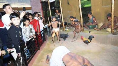 जनजातीय स्वतंत्रता संग्राम सेनानी संग्रहालय, दो महीनों में 72 हजार से अधिक लोगों ने किया अवलोकन