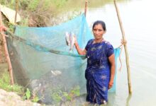 मछली पालन से समृद्ध की राह पर फुलबती मरकाम मछली पालन से समृद्ध की राह पर फुलबती मरकाम
