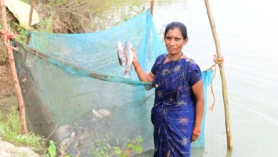 मछली पालन से समृद्ध की राह पर फुलबती मरकाम मछली पालन से समृद्ध की राह पर फुलबती मरकाम