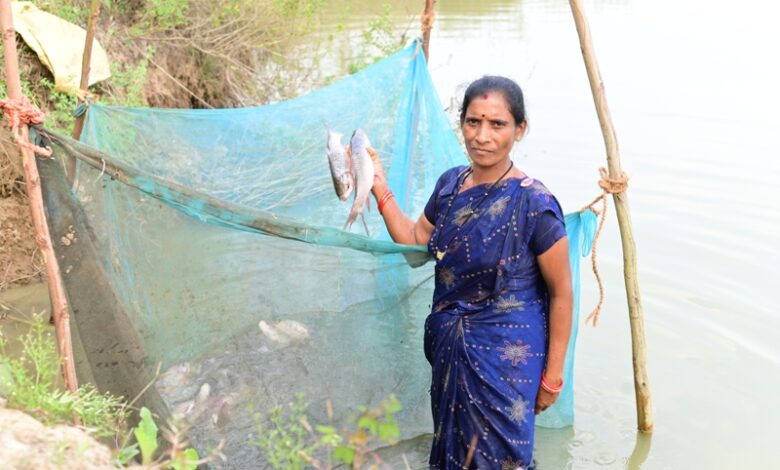 मछली पालन से समृद्ध की राह पर फुलबती मरकाम मछली पालन से समृद्ध की राह पर फुलबती मरकाम