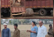 वन विभाग के उडऩदस्ता ने अवैध लकड़ी परिवहन कर रहे दो ट्रकों को किया जब्त