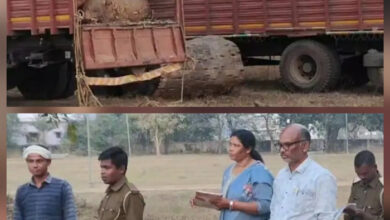 वन विभाग के उडऩदस्ता ने अवैध लकड़ी परिवहन कर रहे दो ट्रकों को किया जब्त
