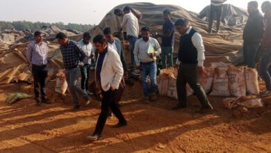 मार्कफेड एमडी ने किया बस्तर के उपार्जन व संग्रहण केंद्रों का किया निरीक्षण मार्कफेड एमडी ने किया बस्तर के उपार्जन व संग्रहण केंद्रों का किया निरीक्षण