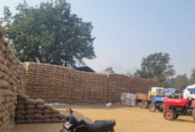धान खरीदी बफर लिमिट से दोगुनी, उठाव के लिए मिलर कम