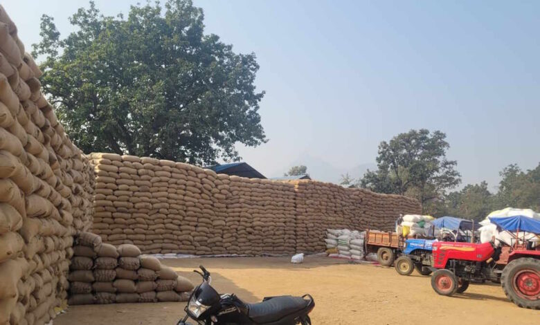 धान खरीदी बफर लिमिट से दोगुनी, उठाव के लिए मिलर कम धान खरीदी बफर लिमिट से दोगुनी, उठाव के लिए मिलर कम