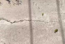 आरंग मंडी सड़क का निर्माण 2 महीने में ही दरारें, गुणवत्ता पर गंभीर सवाल