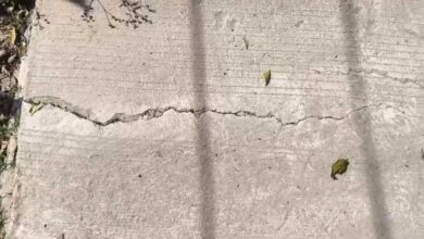 आरंग मंडी सड़क का निर्माण 2 महीने में ही दरारें, गुणवत्ता पर गंभीर सवाल