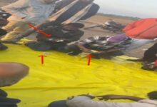 अनिल केवट के अड्डे पर खुले जुए का वीडियो आया सामने