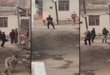 बदमाशों का सघन हमला, वीडियो सोशल मीडिया पर वायरल