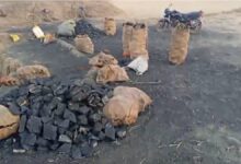 सरगुजा में अवैध कोयला तस्करी पुलिस ने 3 टन कोयला जब्त सरगुजा में अवैध कोयला तस्करी पुलिस ने 3 टन कोयला जब्त