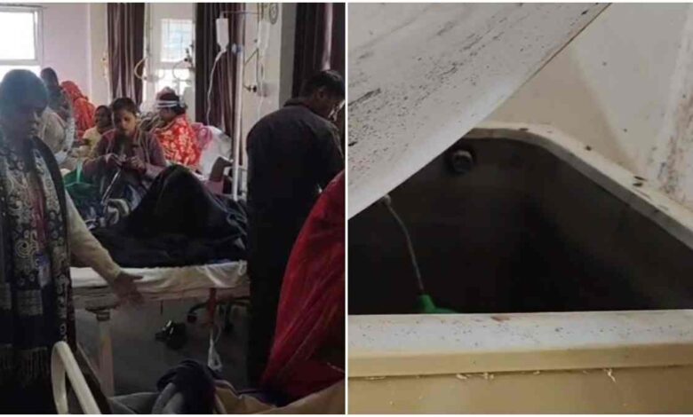 जिला अस्पताल में बच्चों के पलंगों पर काकरोच और कीड़े, गंदगी का खुलासा जिला अस्पताल में बच्चों के पलंगों पर काकरोच और कीड़े, गंदगी का खुलासा