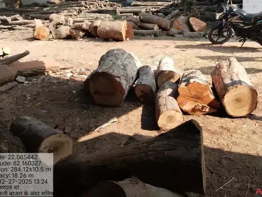 गुरु नानक सॉ मिल में रेड, पेड़ का गोला और चिरान जब्त