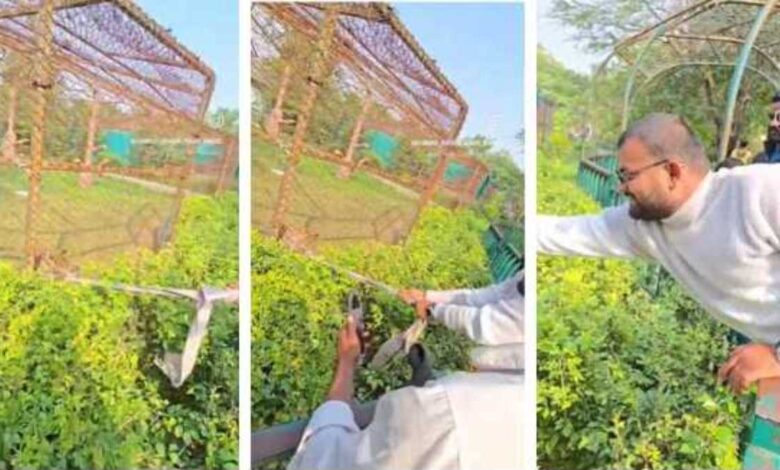 मैहर जू तेंदुए के पास खतरनाक मस्ती का वीडियो वायरल