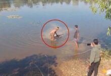 बिलासपुर फेकूबांध में युवक का शव मिला बिलासपुर फेकूबांध में युवक का शव मिला