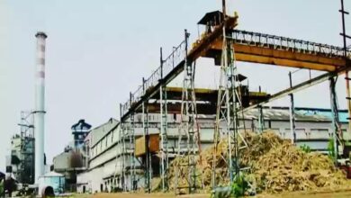 भोरमदेव सहकारी शक्कर कारखाना में अब तक लगभग 25 करोड़ का किसानों को भुगतान, किसानों में हर्ष