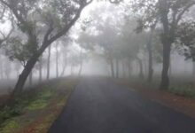 छत्तीसगढ़ के शिमला का पारा पहुंचा 2 डिग्री, जमीं ओस की बूंदें, दोपहर तक छाया रहा कोहरा