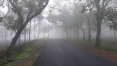 छत्तीसगढ़ के शिमला का पारा पहुंचा 2 डिग्री, जमीं ओस की बूंदें, दोपहर तक छाया रहा कोहरा