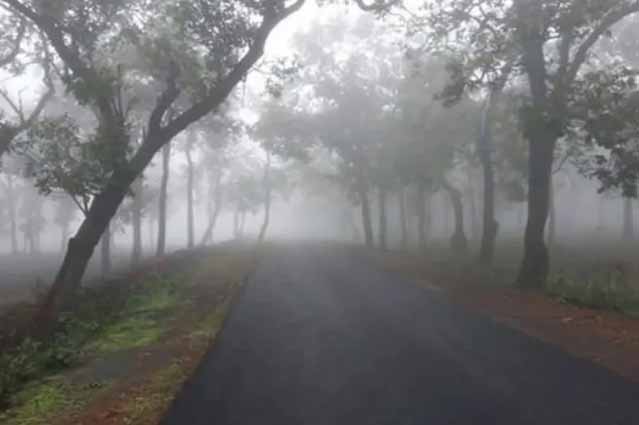 छत्तीसगढ़ के शिमला का पारा पहुंचा 2 डिग्री, जमीं ओस की बूंदें, दोपहर तक छाया रहा कोहरा