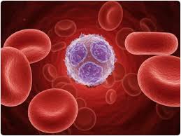 2047 तक सिकलसेल मुक्त भारत का संकल्प, छत्तीसगढ़ में 1.65 करोड़ से अधिक की जांच 2047 तक सिकलसेल मुक्त भारत का संकल्प, छत्तीसगढ़ में 1.65 करोड़ से अधिक की जांच