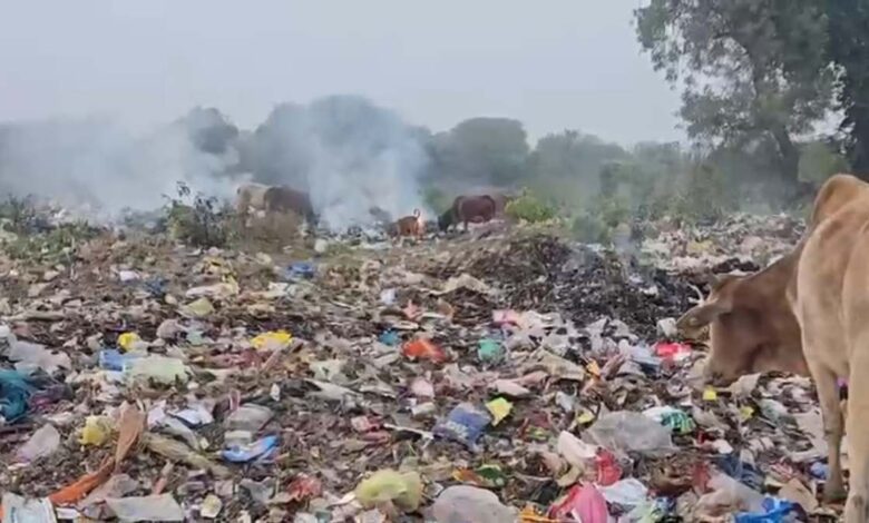 स्वच्छता अभियान की हकीकत खैरागढ़ का कचरा संकट स्वच्छता अभियान की हकीकत खैरागढ़ का कचरा संकट
