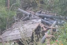 अमरवाड़ा भूमका घाटी में ट्रक खाई में गिरा, चालक की मौत