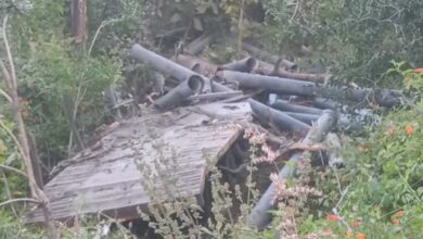 अमरवाड़ा भूमका घाटी में ट्रक खाई में गिरा, चालक की मौत अमरवाड़ा भूमका घाटी में ट्रक खाई में गिरा, चालक की मौत