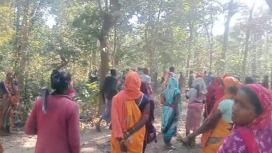 ग्रामीणों ने जंगल में कूप कटिंग पर विरोध जताया